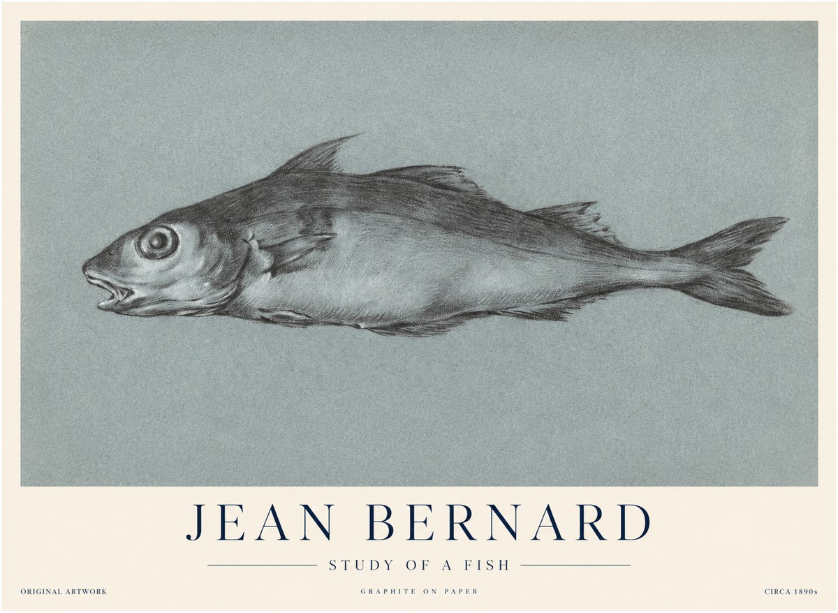 Jean Bernard Fish Study I No4 - Poster