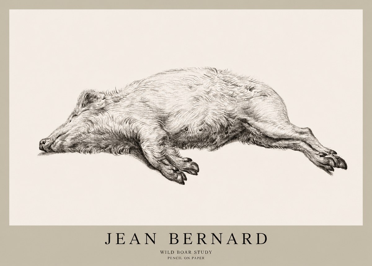 Jean Bernard Wild Boar Study No1 - Poster