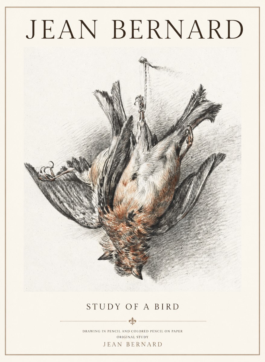 Jean Bernard Study of a Bird IV No3 - Poster