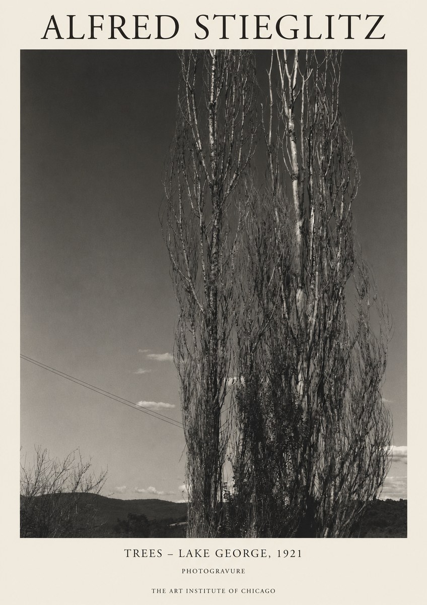 Alfred Stieglitz Trees - Lake George, 1921 No1 - Poster