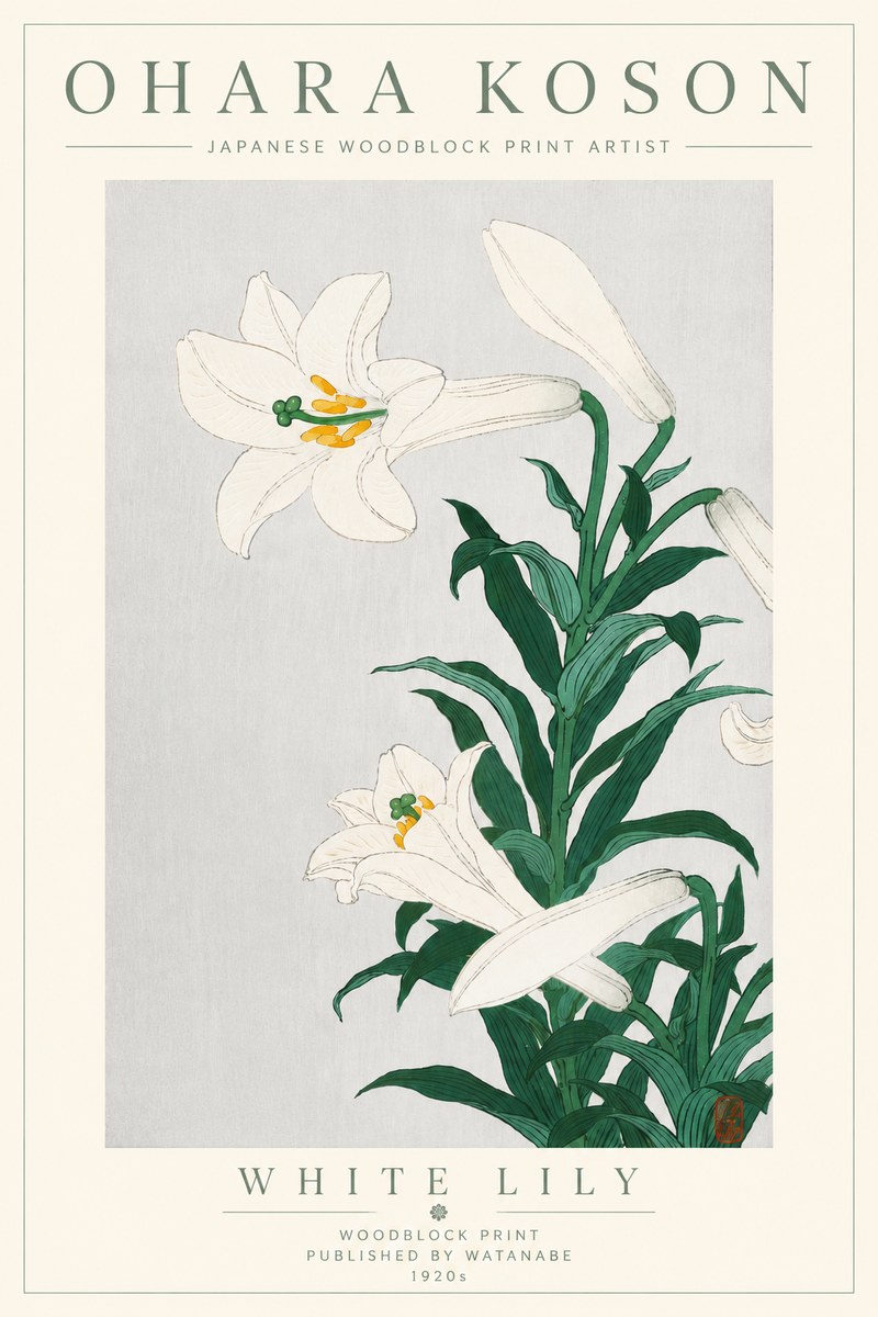 Ohara Koson White Lily No6 - Poster