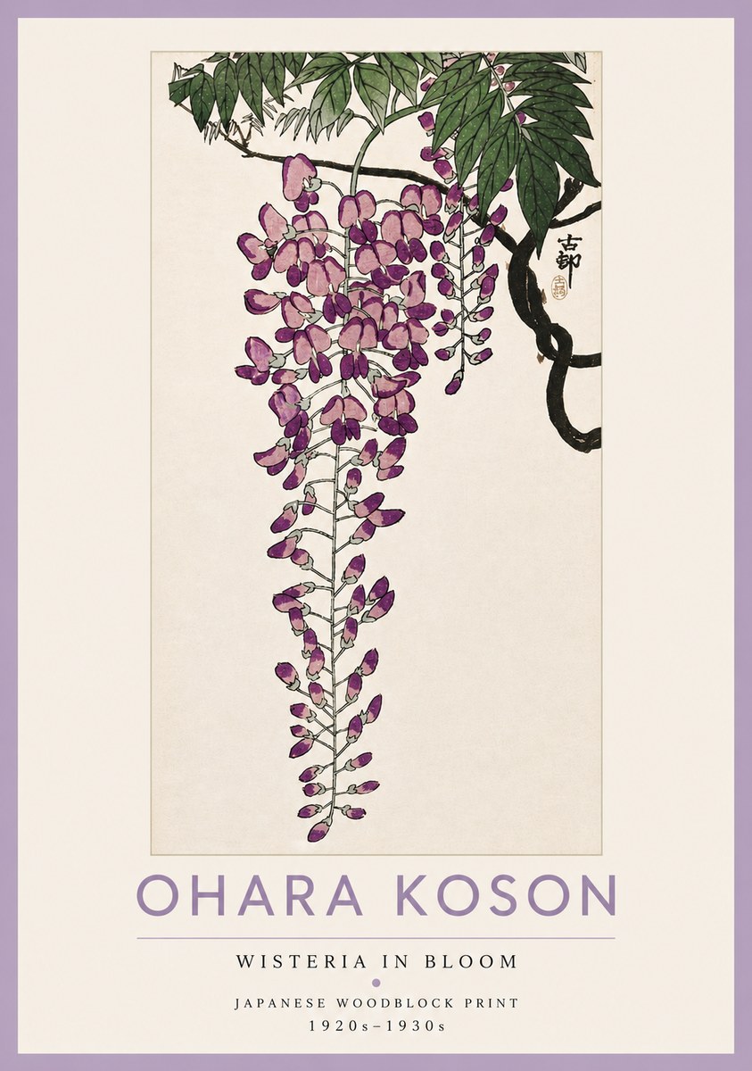 Ohara Koson Wisteria in Bloom No4 - Poster