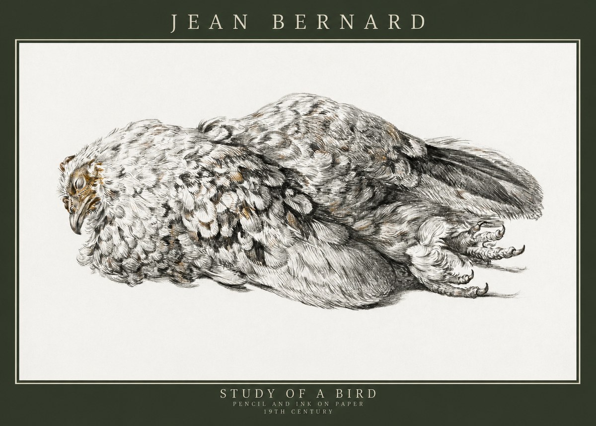 Jean Bernard Study of a Bird I No3 - Poster