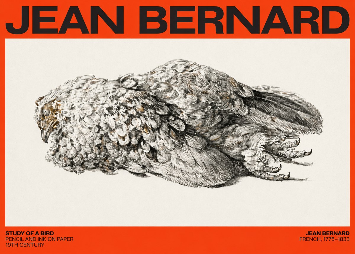 Jean Bernard Study of a Bird I No4 - Poster