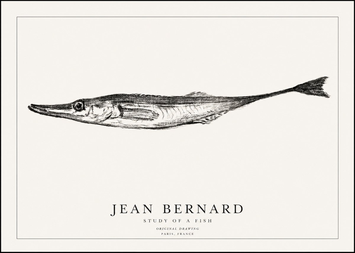 Jean Bernard Study of a Fish I No1 - Poster