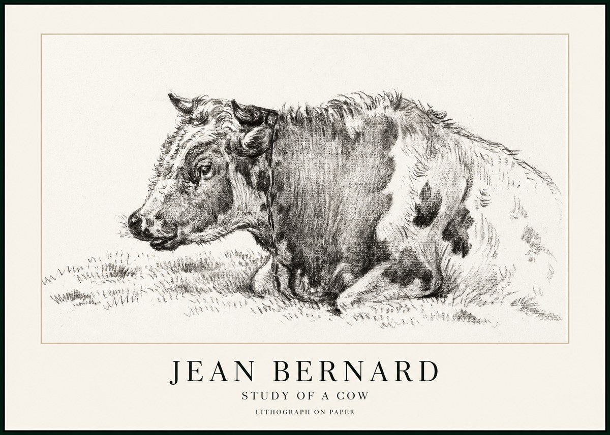 Jean Bernard Resting Cow I No3 - Poster