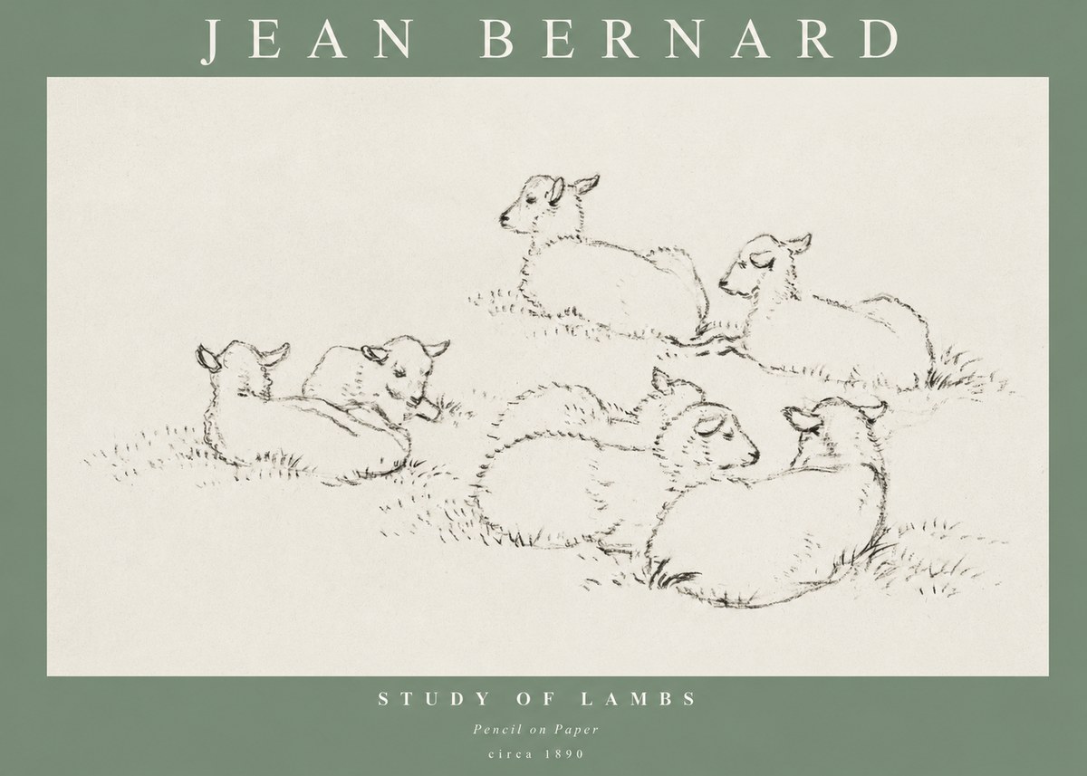 Jean Bernard Study of Lambs No1 - Poster