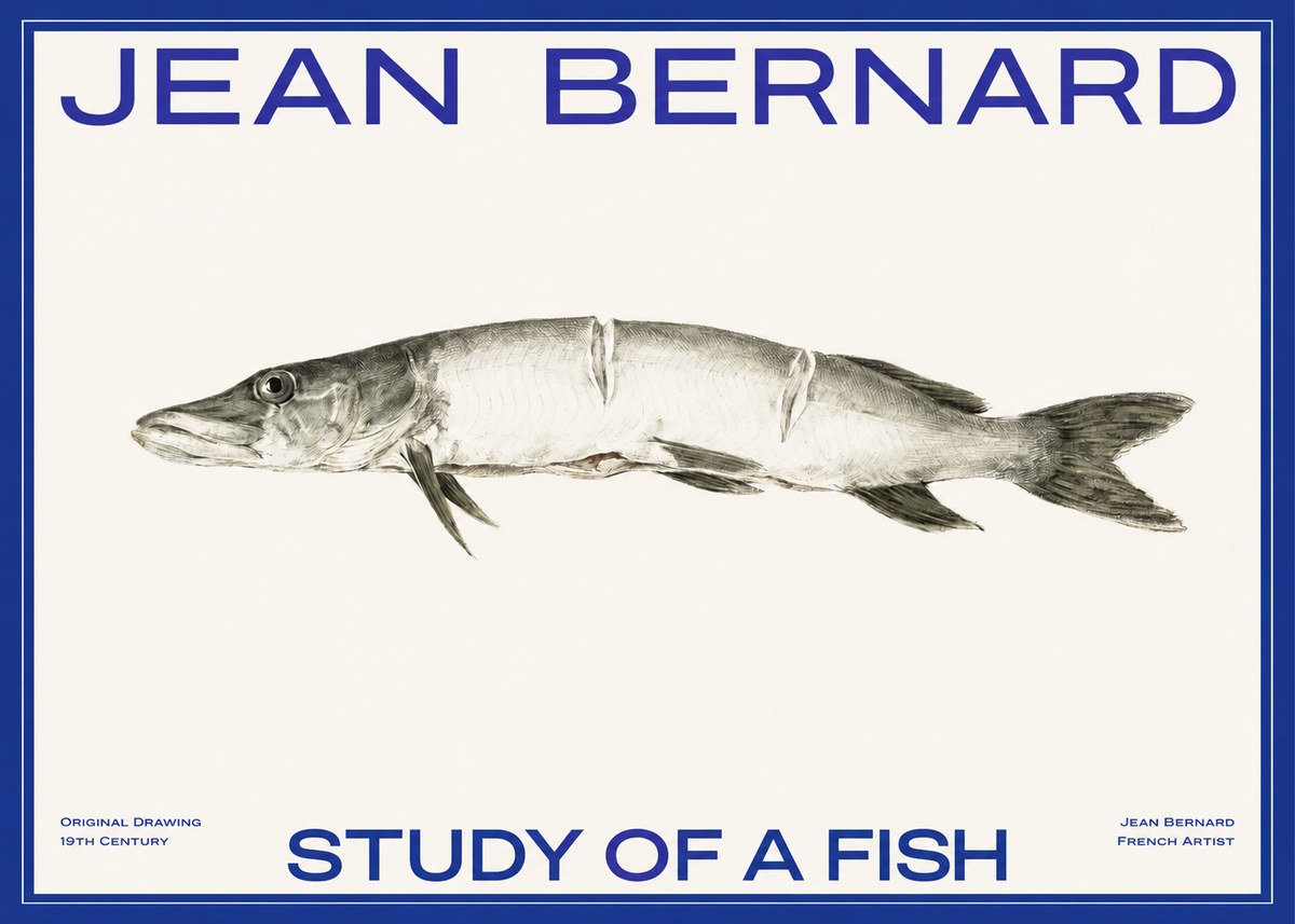 Jean Bernard Study of a Fish II No2 - Poster