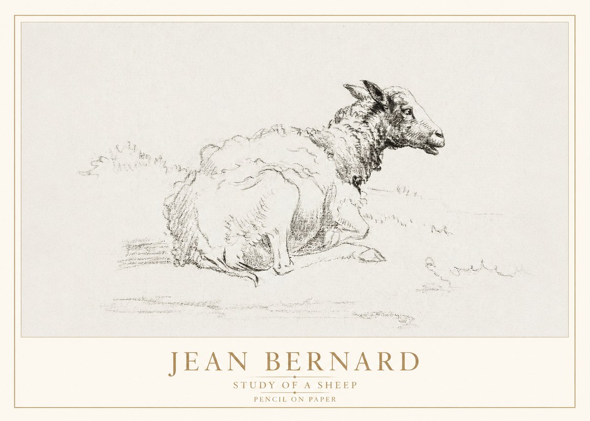 Jean Bernard Sheep Resting No4 - Poster