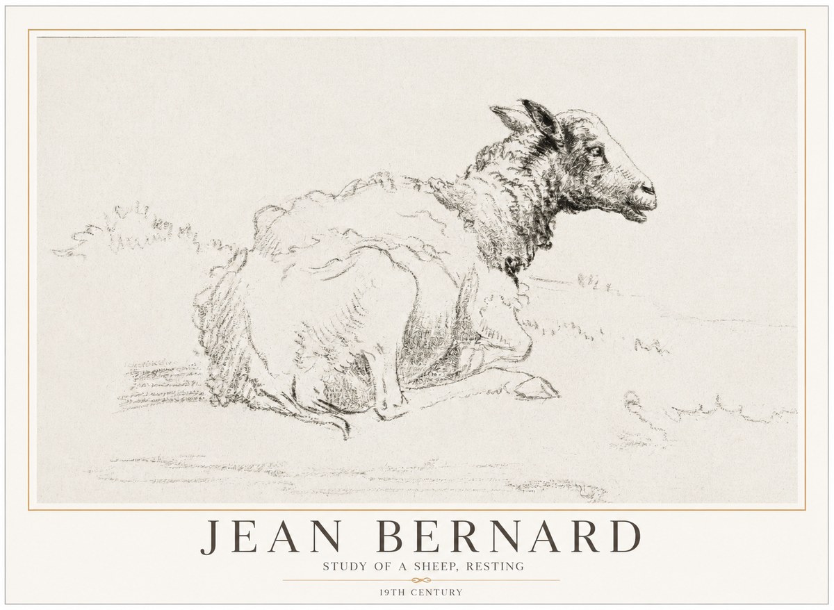 Jean Bernard Sheep Resting No5 - Poster