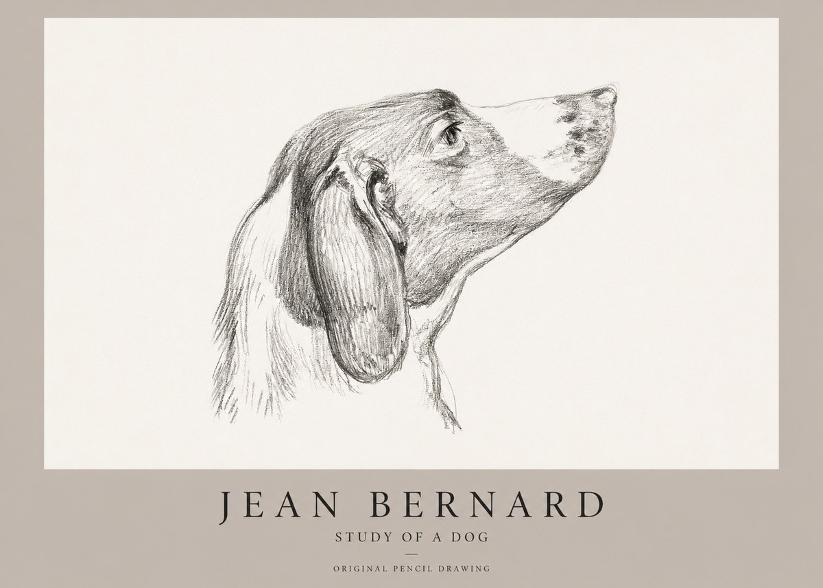 Jean Bernard Study of a Dog I No1 - Poster