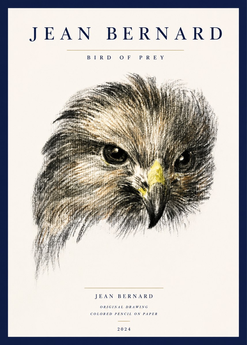 Jean Bernard Bird of Prey No3 - Poster