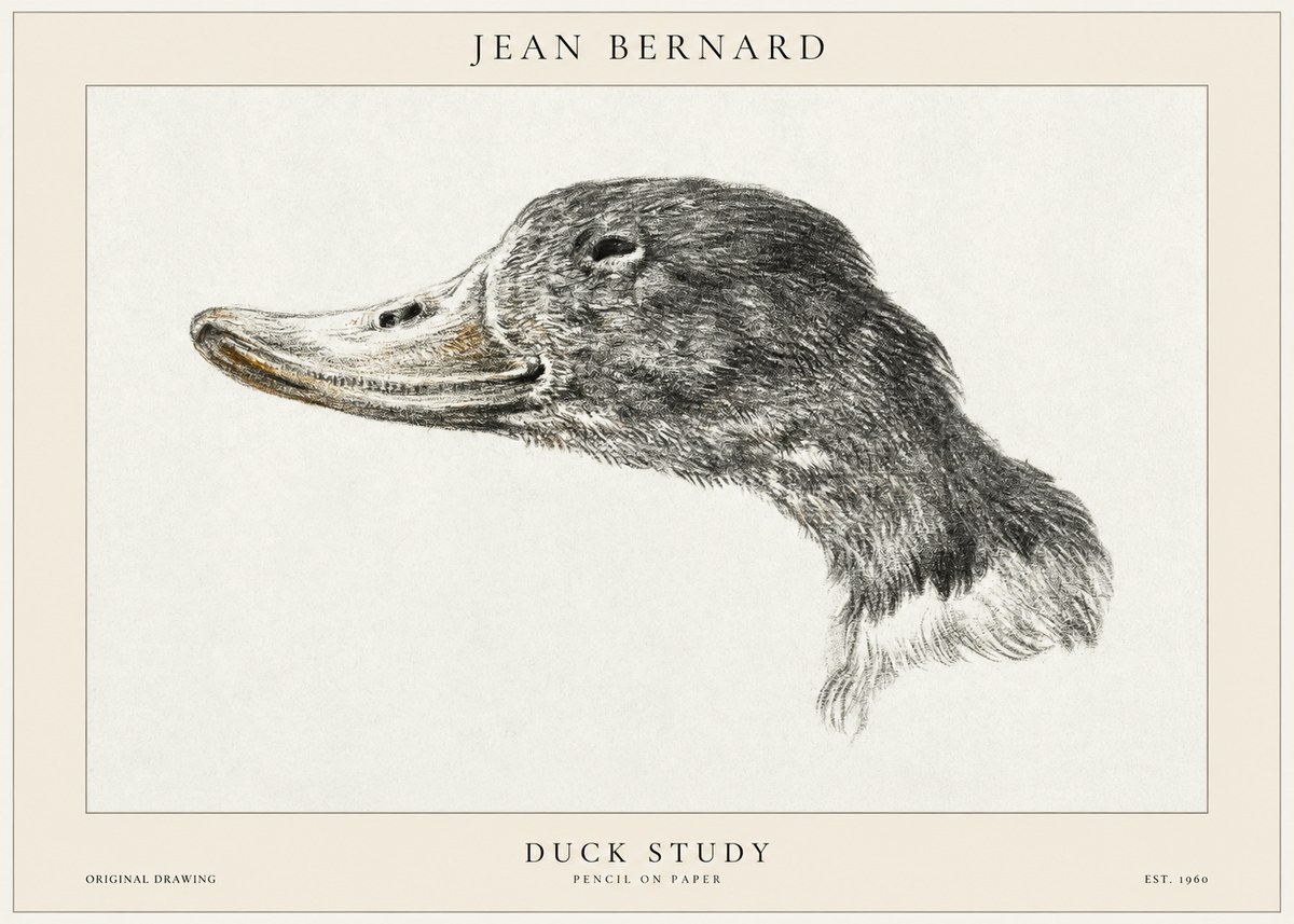 Jean Bernard Study of a Duck No2 - Poster