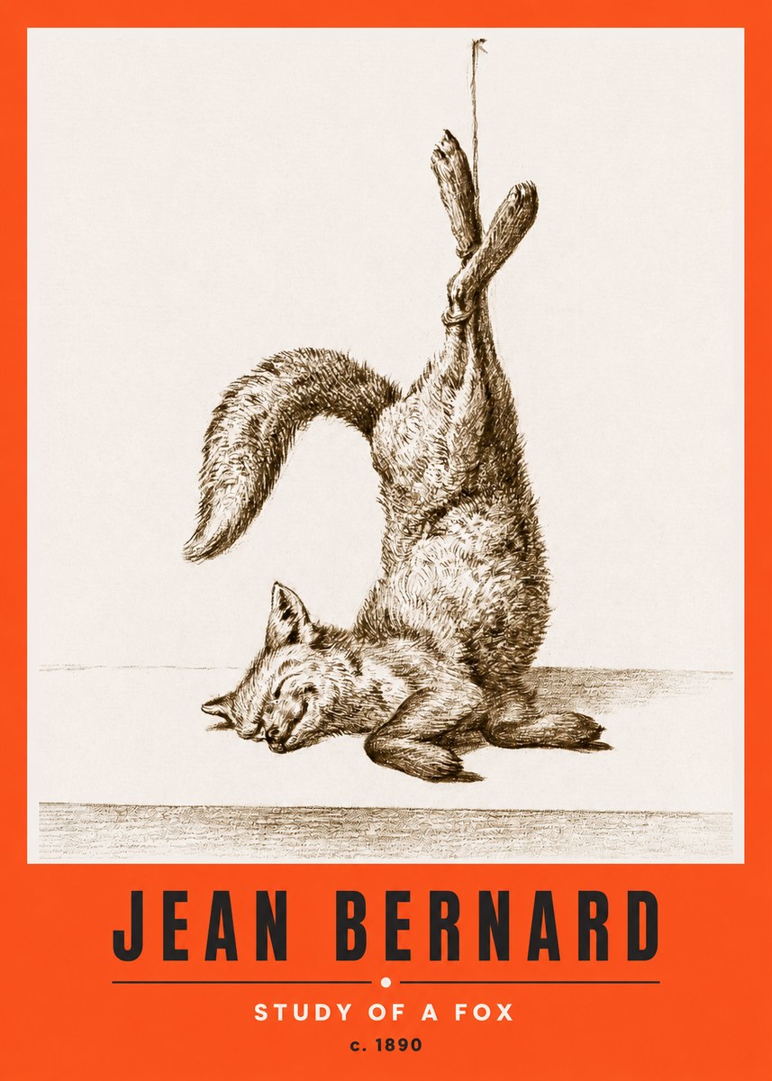 Jean Bernard Study of a Fox No2 - Poster