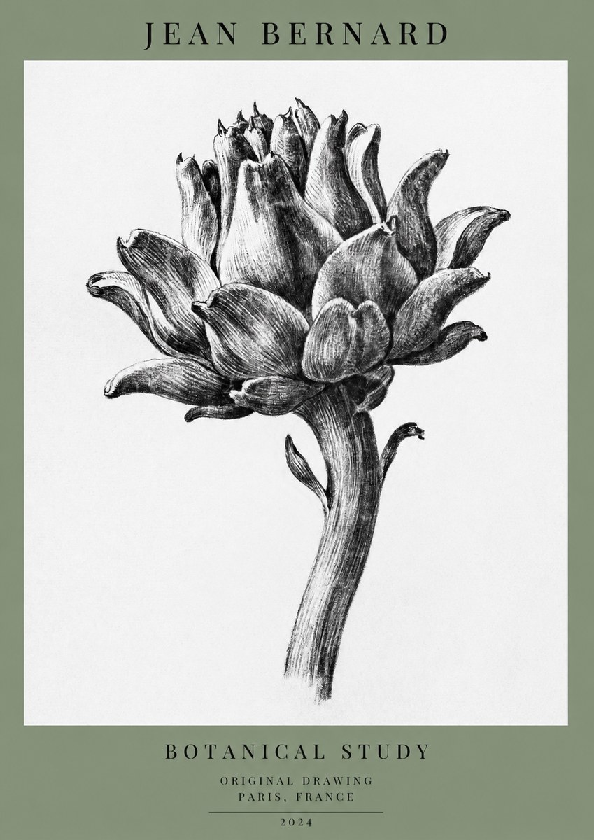 Jean Bernard Botanical Study No1 - Poster
