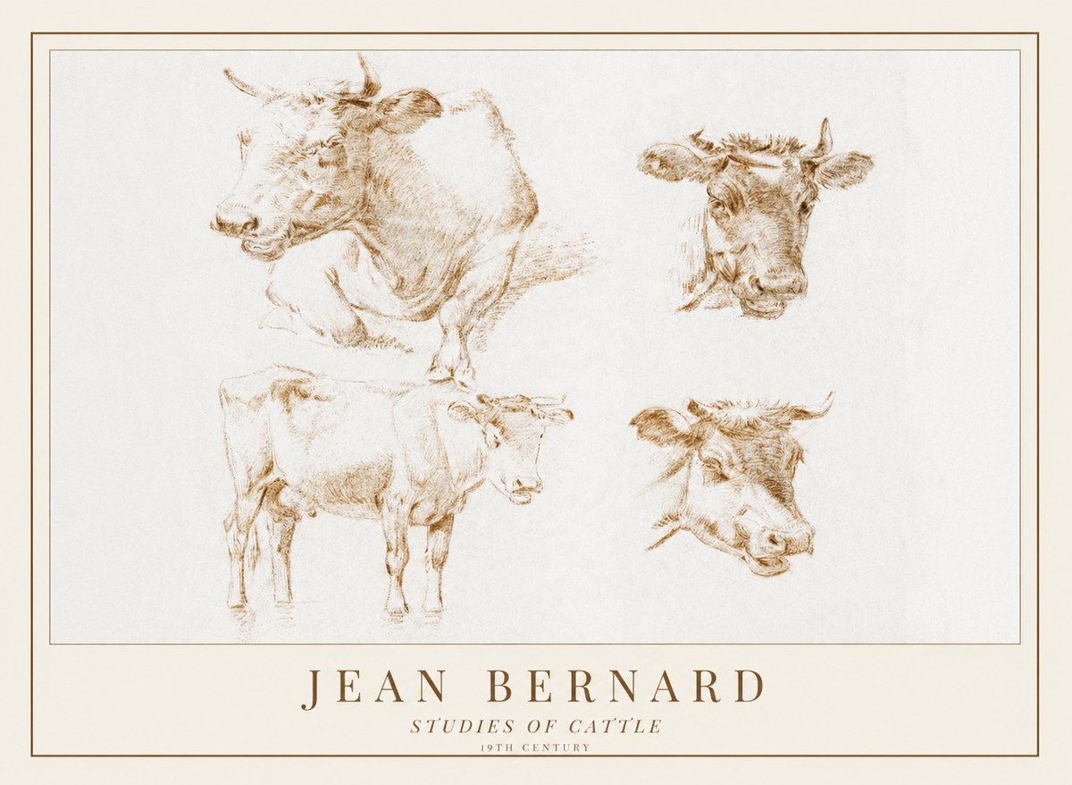 Jean Bernard Studies of Cattle II No1 - Poster