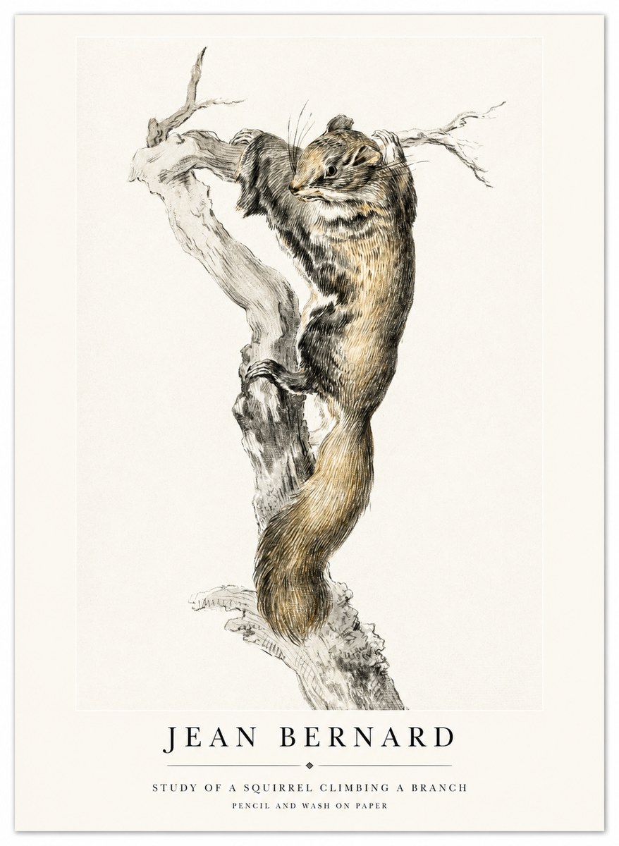 Jean Bernard Study of a Squirrel Climbing a Branch No1 - Poster