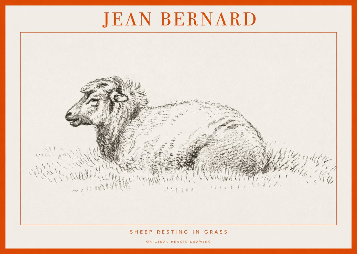 Jean Bernard Sheep Resting in Grass No1 - Poster