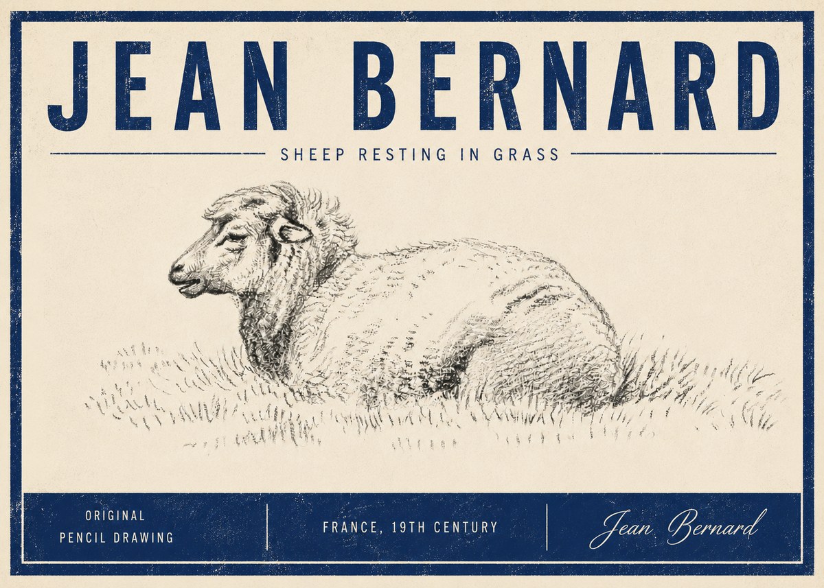 Jean Bernard Sheep Resting in Grass No5 - Poster