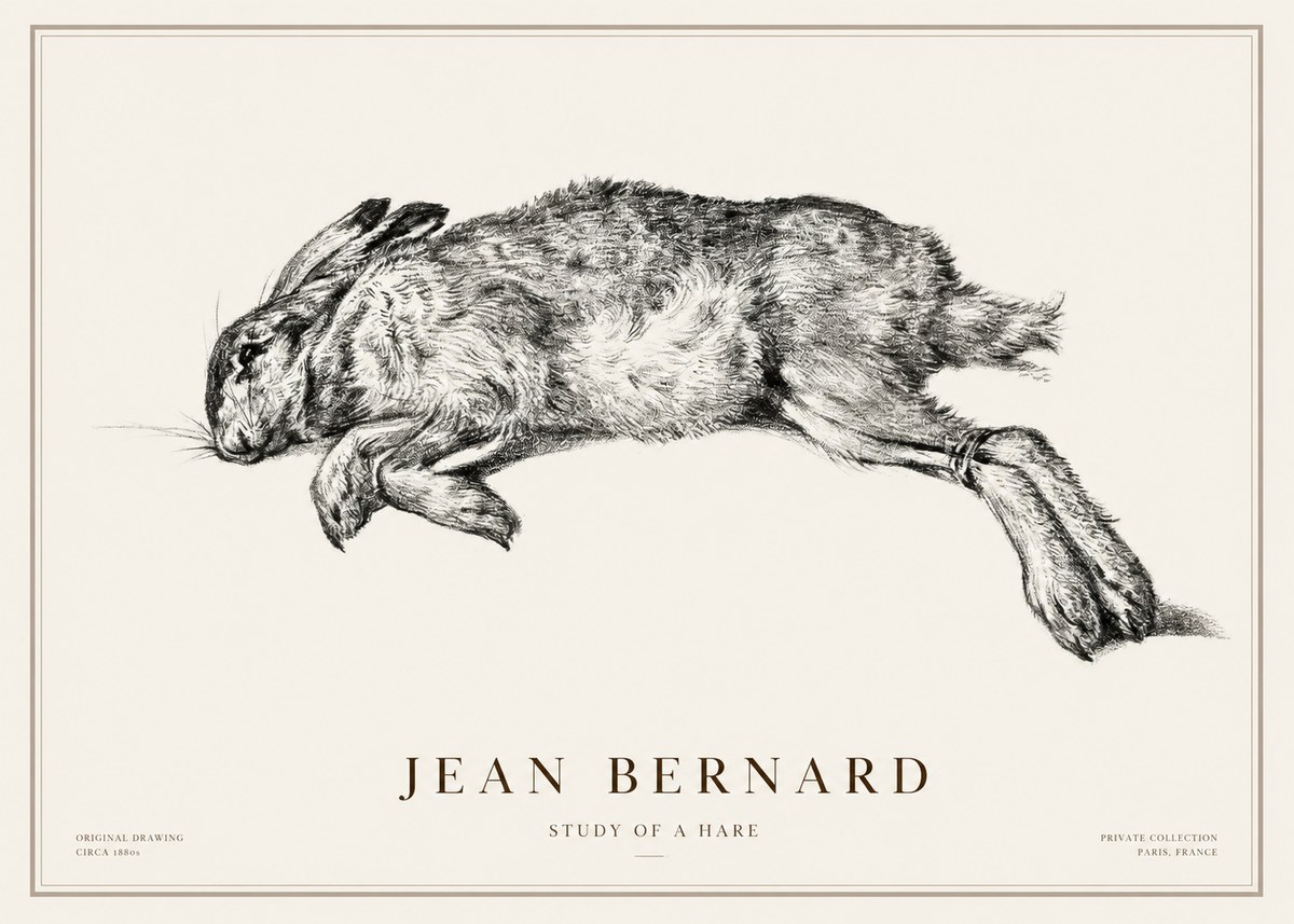 Jean Bernard Study of a Rabbit No3 - Poster