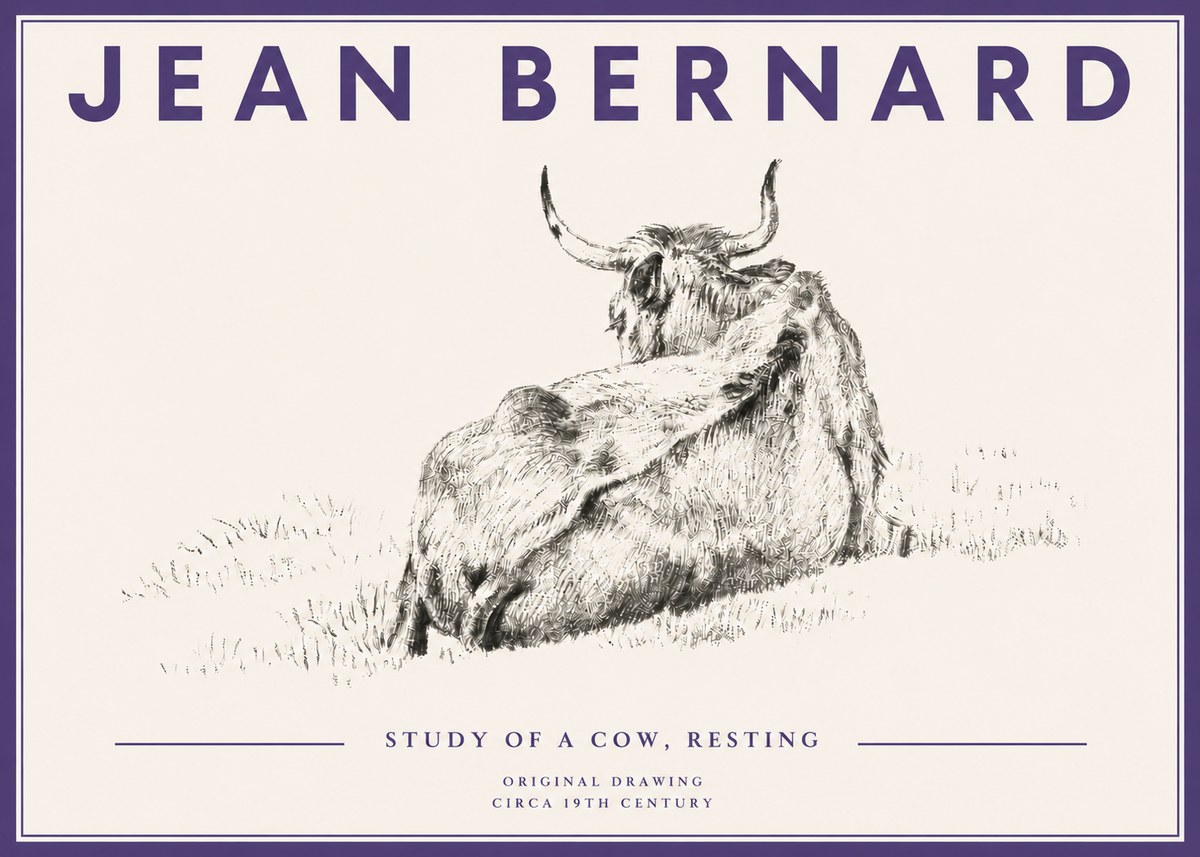 Jean Bernard Resting Bovine - Study in Graphite No5 - Poster