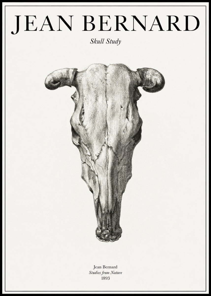 Jean Bernard Skull Study No1 - Poster