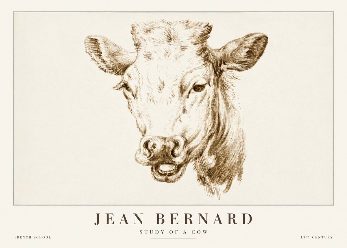 Jean Bernard Study of a Cow IV No2 - Poster