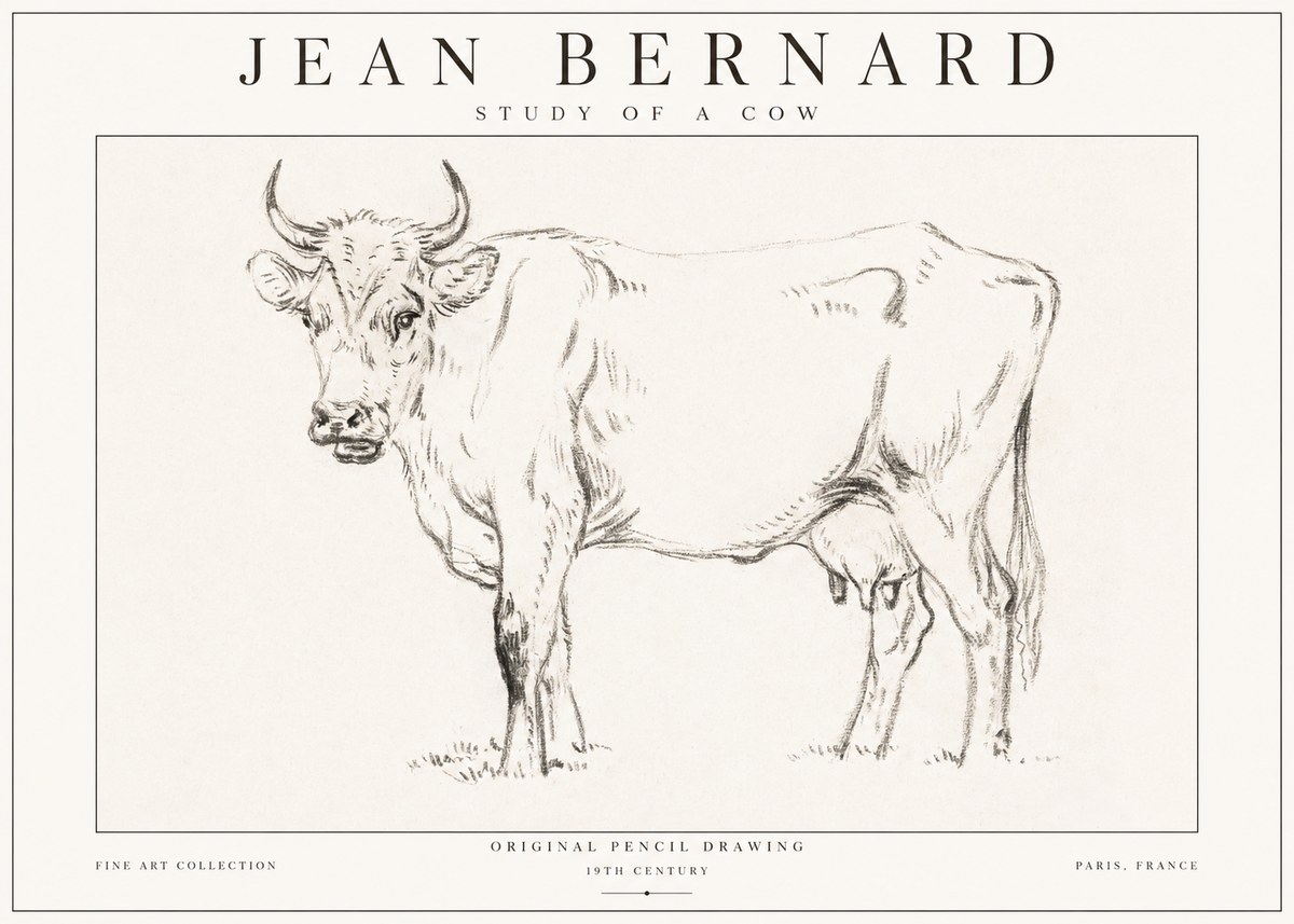 Jean Bernard Study of a Cow VI No1 - Poster