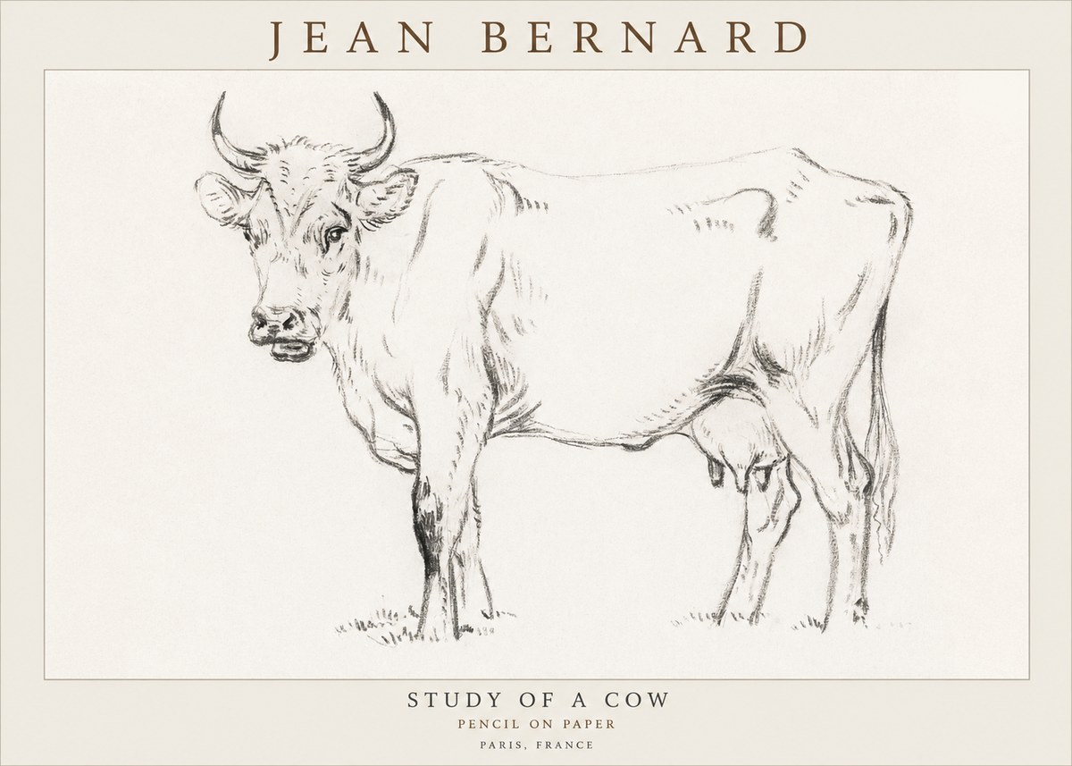 Jean Bernard Study of a Cow VI No3 - Poster