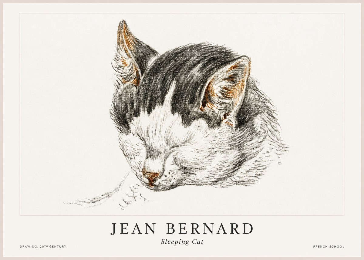Jean Bernard Sleeping Cat V No1 - Poster