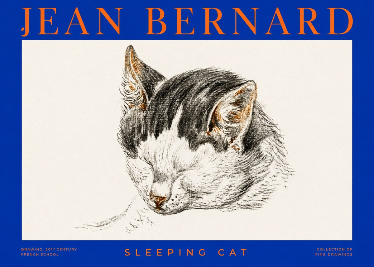 Jean Bernard Sleeping Cat V No2 - Poster