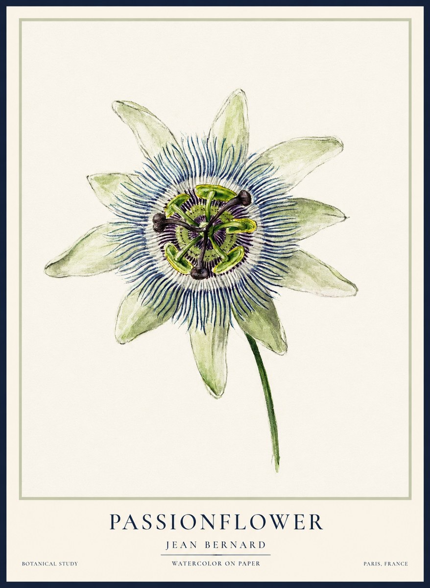 Jean Bernard Passionflower No2 - Poster