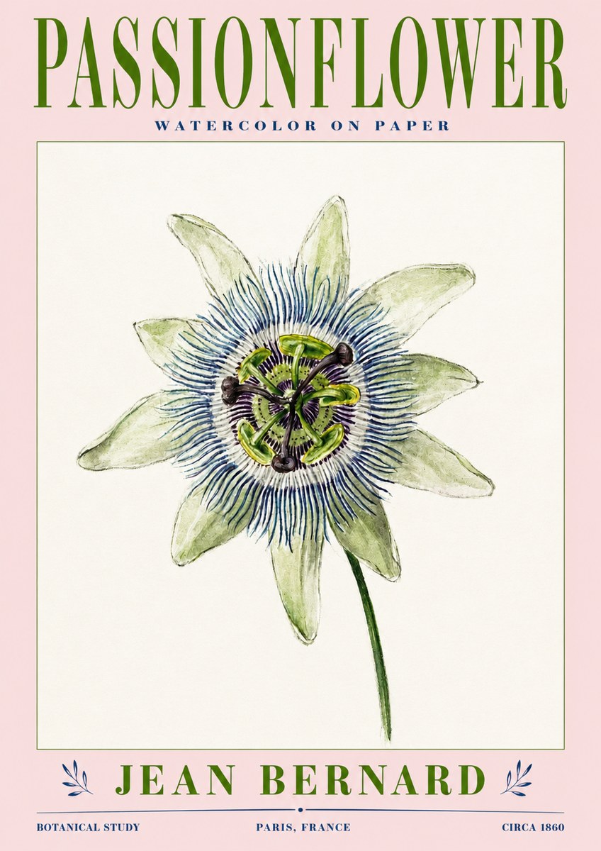 Jean Bernard Passionflower No3 - Poster