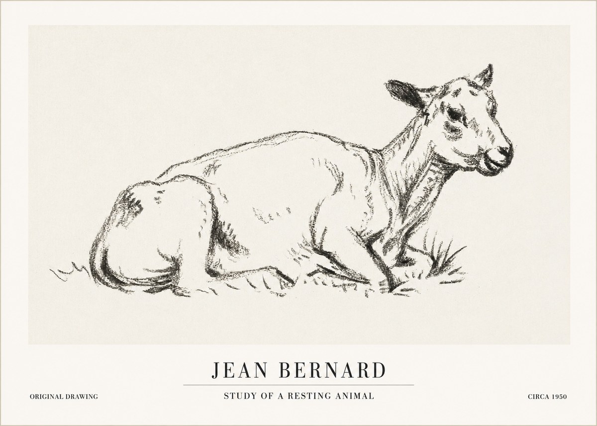 Jean Bernard Study of a Resting Animal No1 - Poster