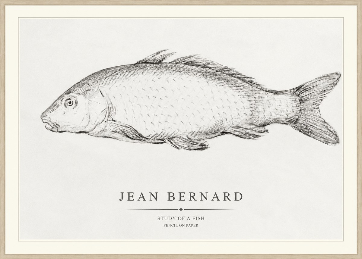 Jean Bernard Study of a Fish III No1 - Poster