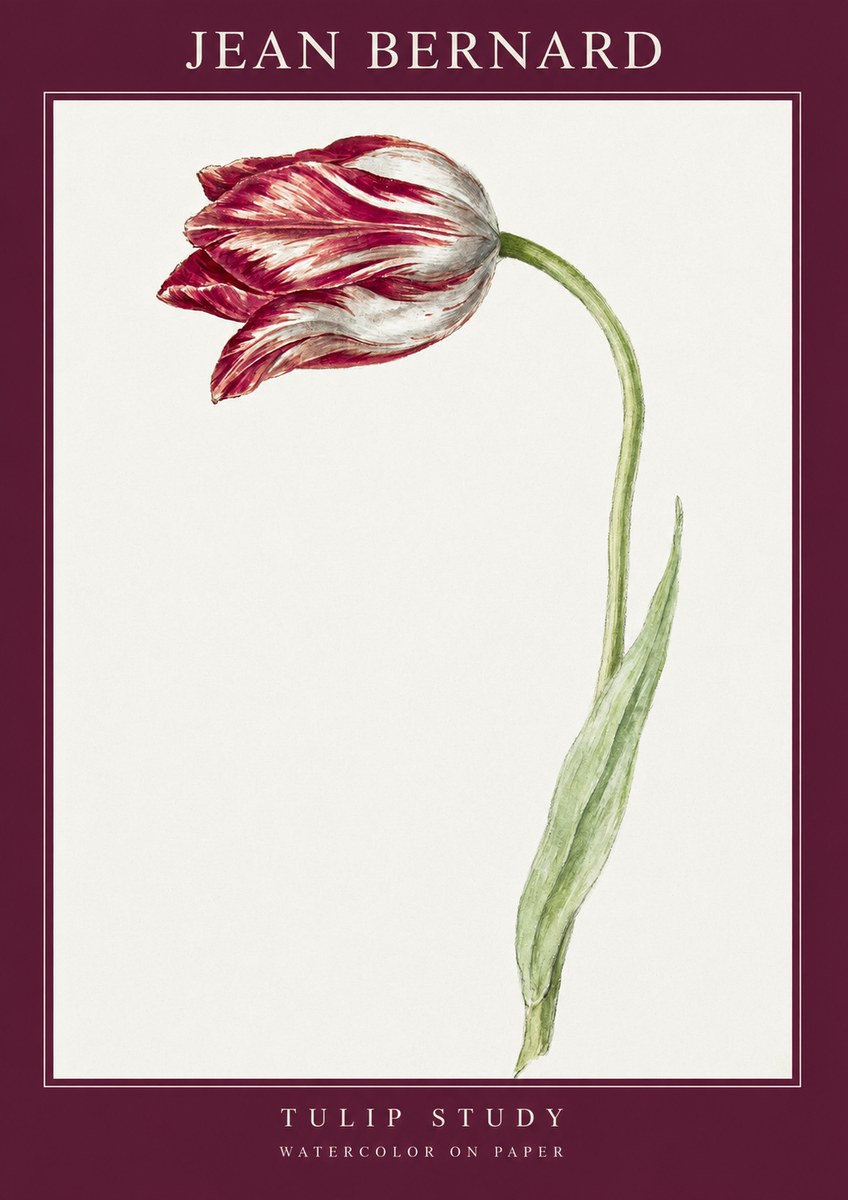 Jean Bernard Tulip Study No2 - Poster