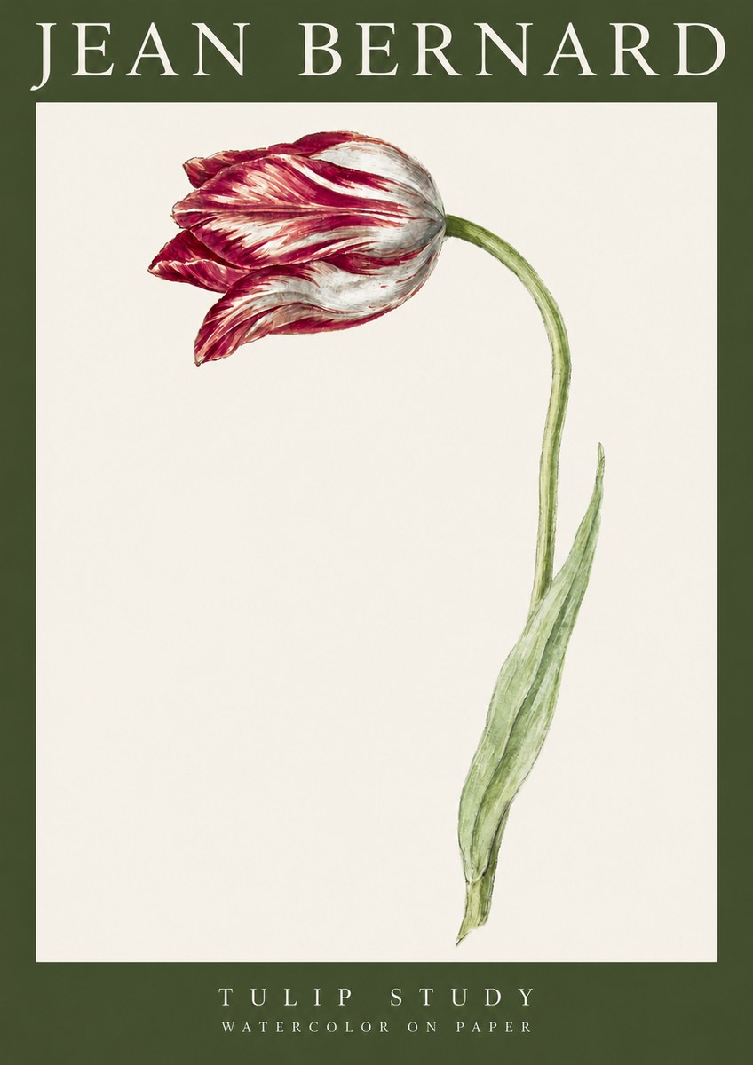 Jean Bernard Tulip Study No3 - Poster