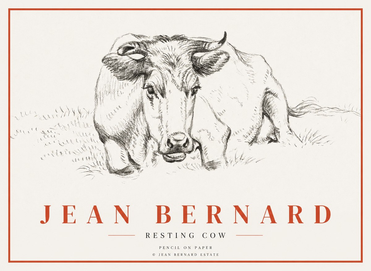 Jean Bernard Resting Cow II No3 - Poster