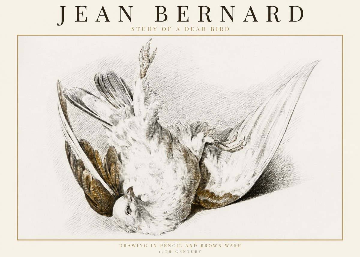 Jean Bernard Study of a Dead Bird No1 - Poster