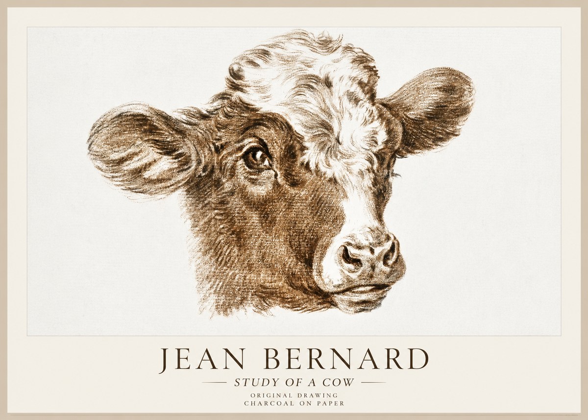 Jean Bernard Study of a Cow VIII No1 - Poster
