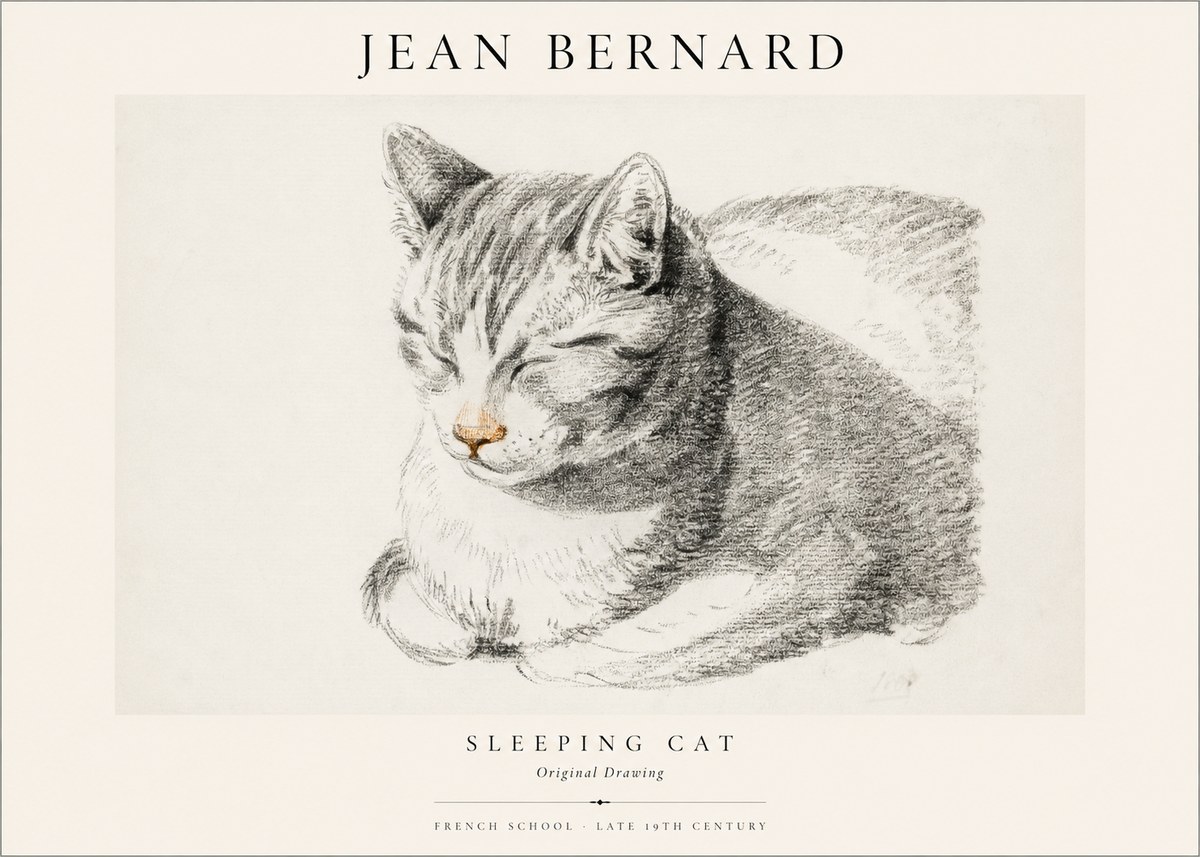Jean Bernard Sleeping Cat VI No1 - Poster