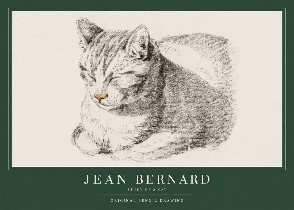 Jean Bernard Sleeping Cat VI No4 - Poster
