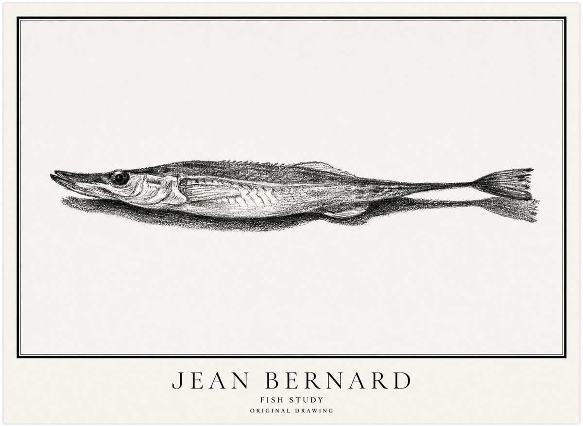Jean Bernard Needlefish No5 - Poster