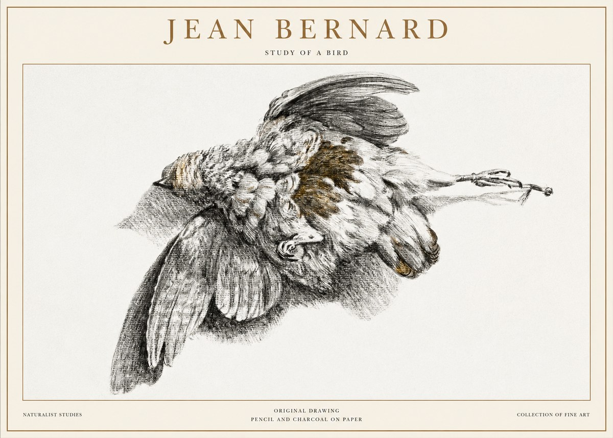 Jean Bernard Study of a Bird III No1 - Poster