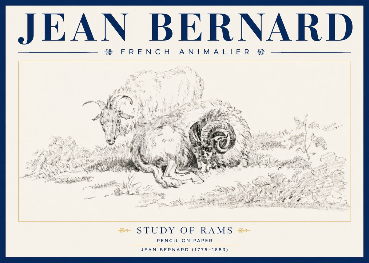 Jean Bernard Study of Sheep No4 - Poster