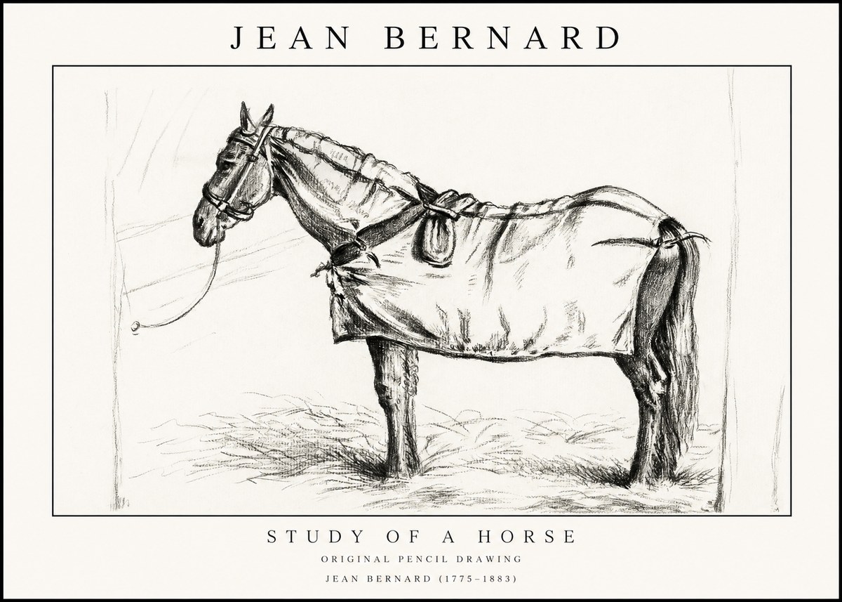 Jean Bernard Study of a Horse XI No1 - Poster