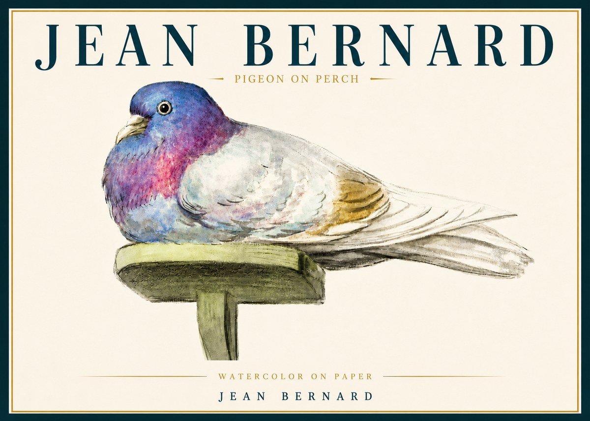 Jean Bernard Pigeon on Perch No5 - Poster