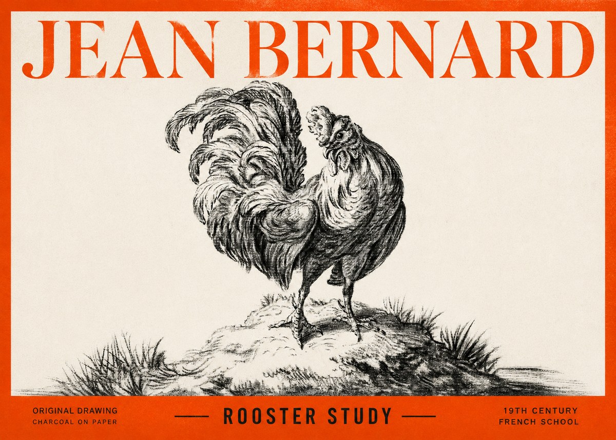 Jean Bernard Study of a Rooster No3 - Poster