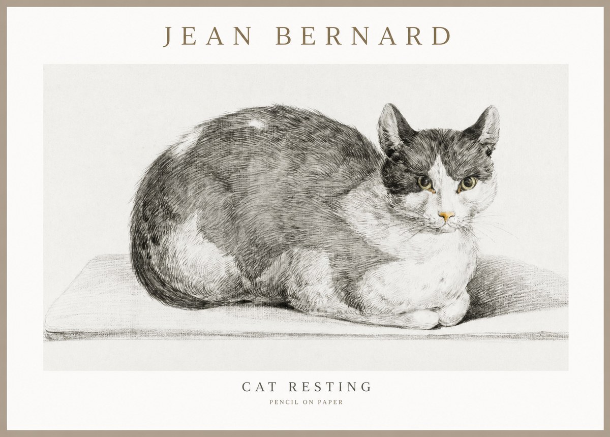 Jean Bernard Cat Study XI No3 - Poster