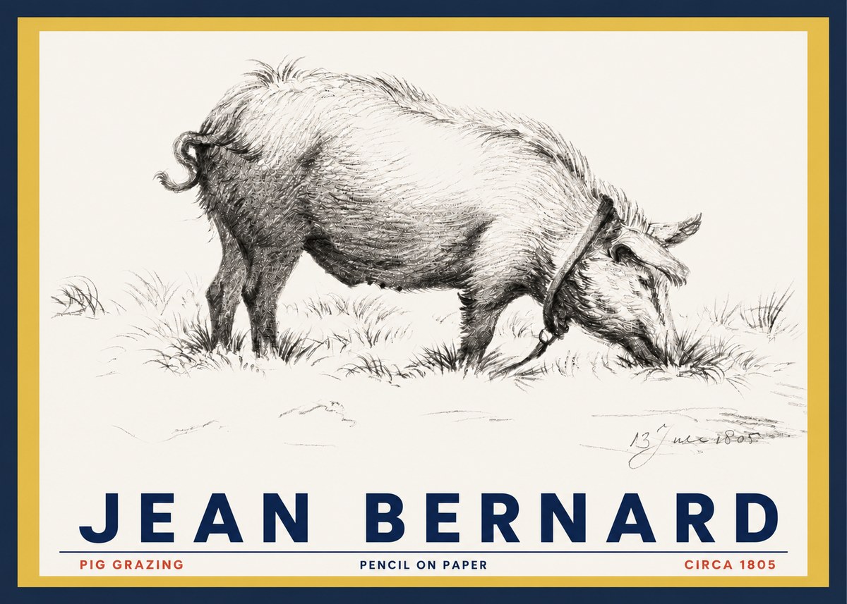 Jean Bernard Pig Grazing No3 - Poster
